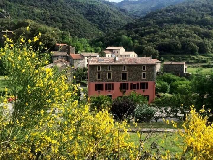 Auberge Cevenole Valleraugue Exterior foto